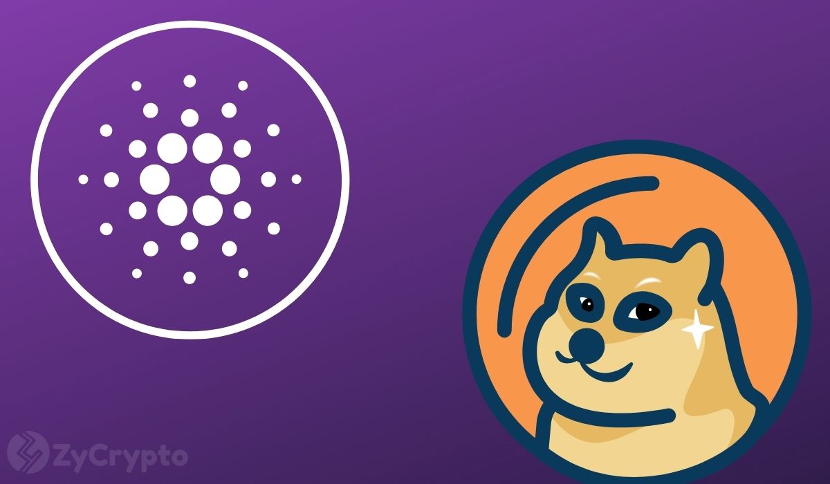 Cardano (ADA) et Dogecoin (DOGE) enregistrent des gains à deux chiffres alors que le marché de la cryptographie donne un ton positif pour l'année