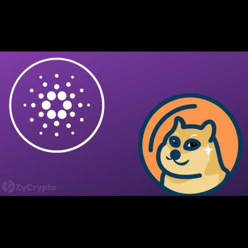 Cardano (ADA) et Dogecoin (DOGE) enregistrent des gains à deux chiffres alors que le marché de la cryptographie donne un ton positif pour l'année