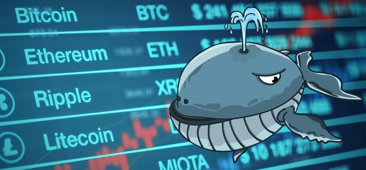 Crypto Whale、Solana ベースの WIF、POPCAT、その他のミームコインを取得