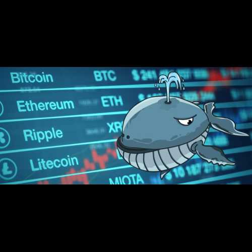 Crypto Whale, Solana 기반 WIF, POPCAT 및 기타 Meme 코인 인수