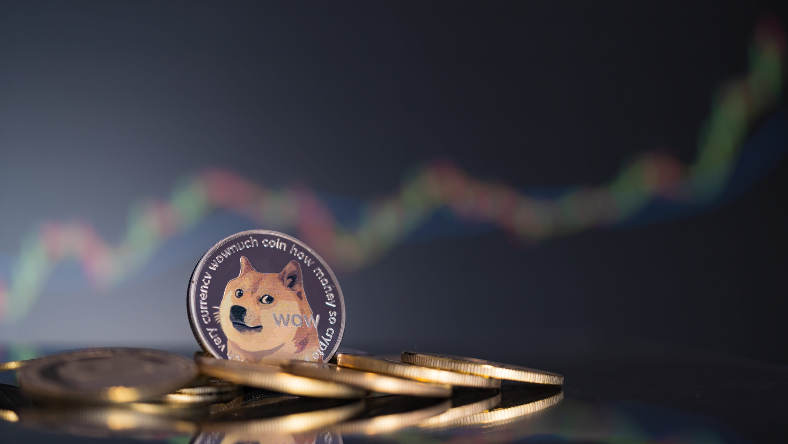 Dogecoin (DOGE) : ce que vous devez savoir sur la crypto-monnaie Meme