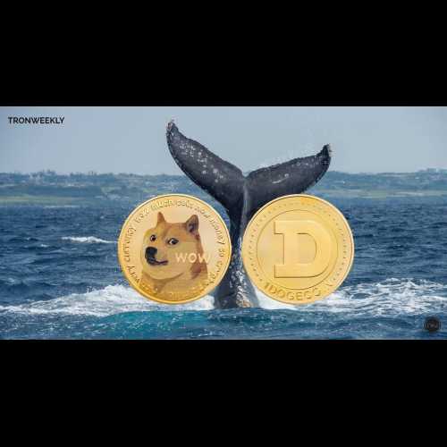 ドージコイン（DOGE）が重要な三角形の頂点を再テスト、アナリストはブレイクアウトの可能性を予想