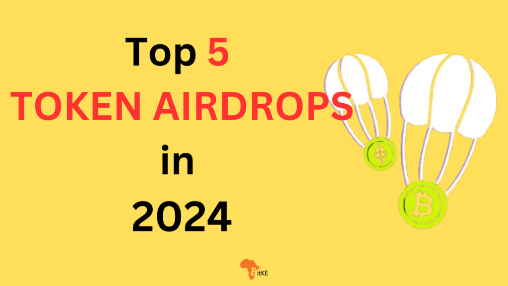 The Standout Airdrops of 2024: HyperLiquid, Starknet, Pudgy Penguins, and More