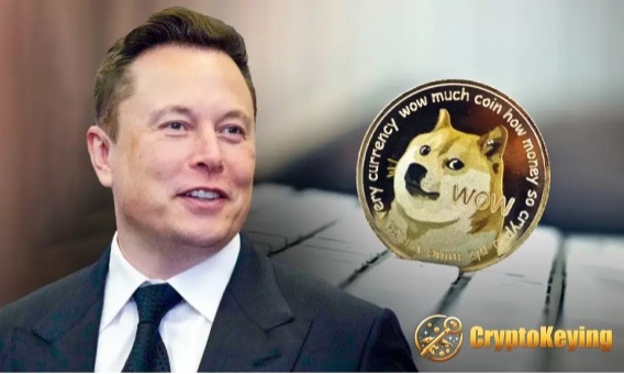 如何在舒适的家中使用 DOGE 开始移动加密货币挖矿并每天赚取 7,700 美元或更多