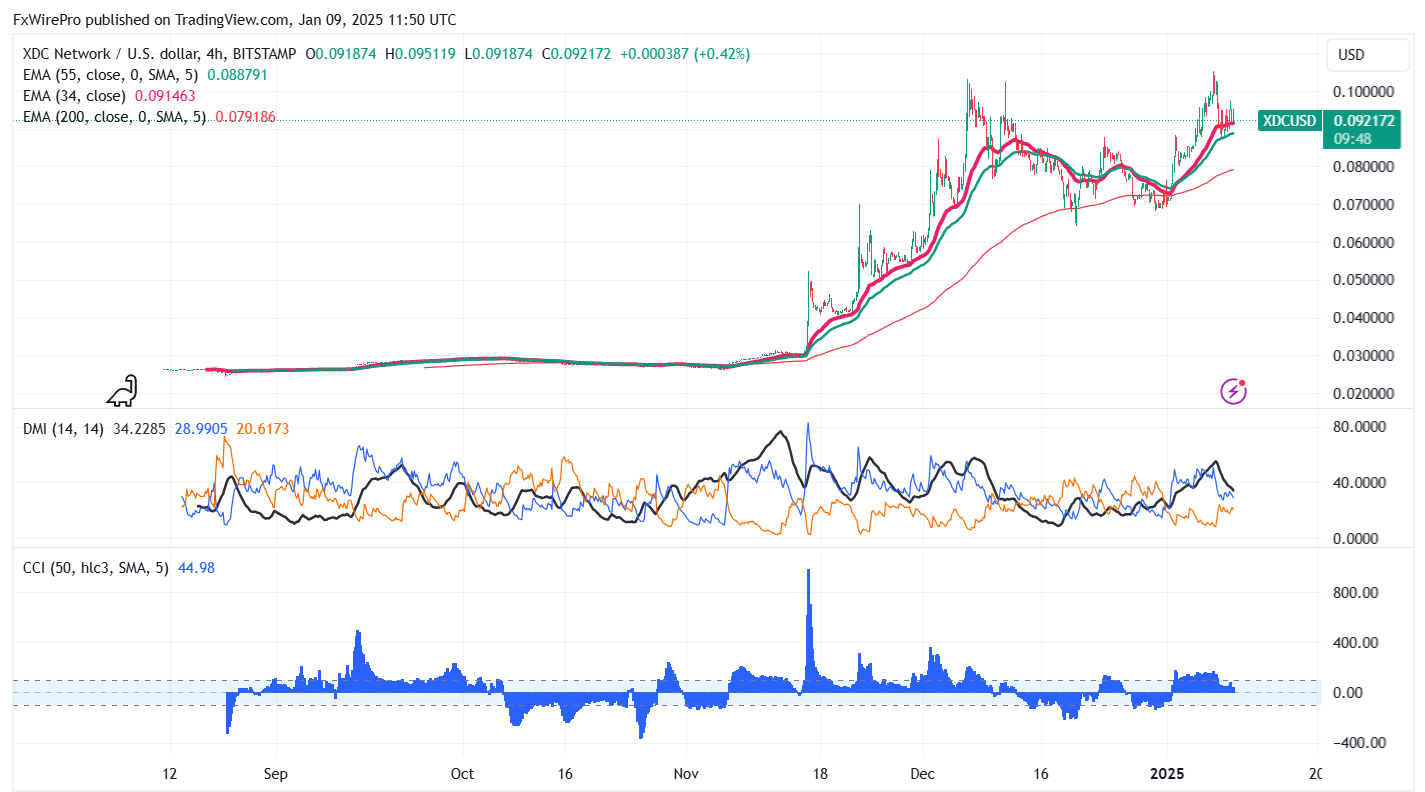 2024년 12월 XDC Network Stride: 고래 활동 및 가격 성과