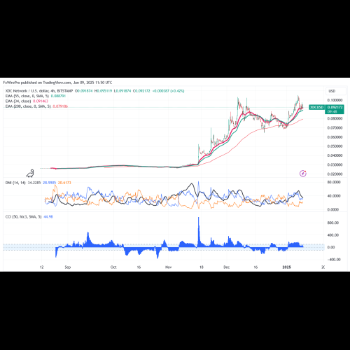 2024 年 12 月 XDC 網路跨越：鯨魚活動與價格表現