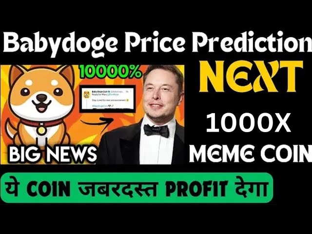 Baby Dogecoin große Neuigkeiten | Brennen | BabyDoge Münzpreispumpe 1000x | Binance-Auflistung