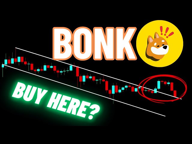 BONK 加密貨幣 |在這裡買？