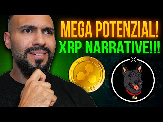 This meme coin on the XRP Ledger can explode now!!! $NOX CTO & David Schwartz! XRP memes!