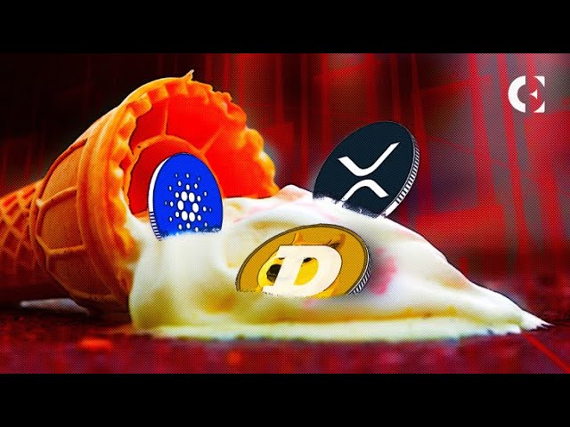 RIPPLE XRP, CARDANO ADA 및 DOGECOIN이 충돌한 이유; 가격 하락은 언제까지 계속되나요?🚨주의하세요!🚨