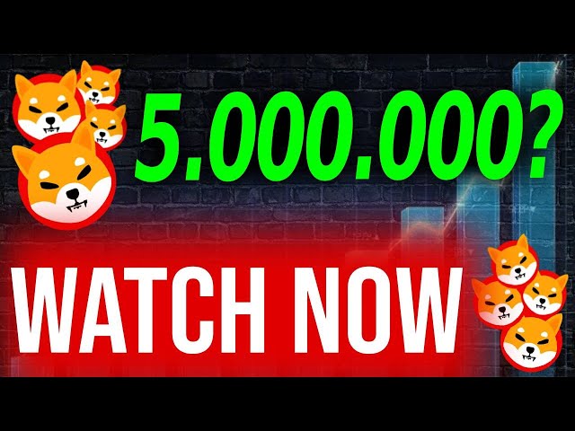 今日 SHIBA INU 新闻：如果您持有 5.000.000 SHIB，您必须看到这个！ （不是开玩笑）- 柴犬硬币新闻