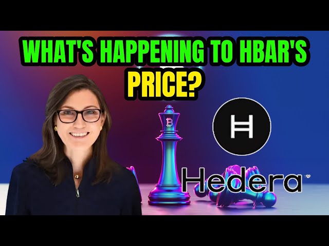 重大更新：Hedera Hashgraph HBAR ETF 潜在新闻..！？我应该担心吗？ ！今日最新消息