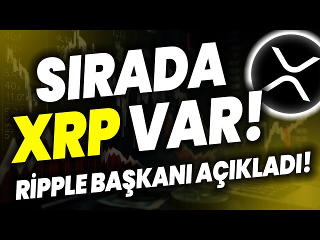 次はXRPコインです!!リップル社長が発表！ XRP価格リップルケース XRPニュース XRP分析