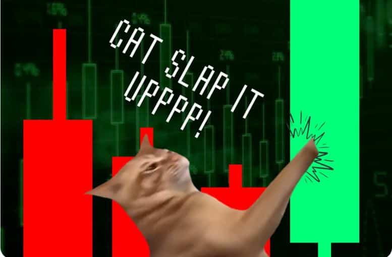 Der Catslap Slap-to-Earn „Slapdrop“ endet in weniger als 24 Stunden, so dass die Inhaber keine Zeit zu verlieren haben, um sich einen Anteil am 100.000-Dollar-Preispool für die zehn besten Slapper zu sichern.