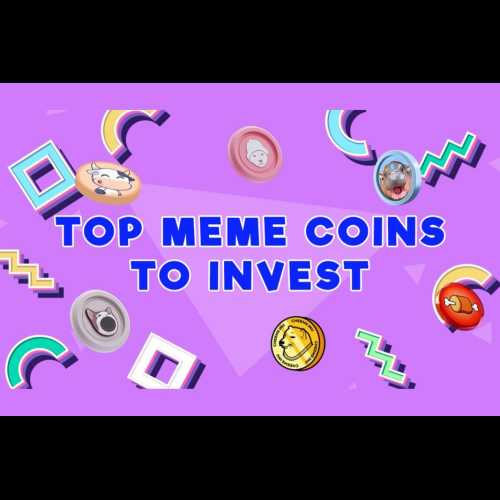 Die 7 besten neuen Meme-Coins, in die man jetzt investieren kann: BTFD Coin, Popcat und mehr