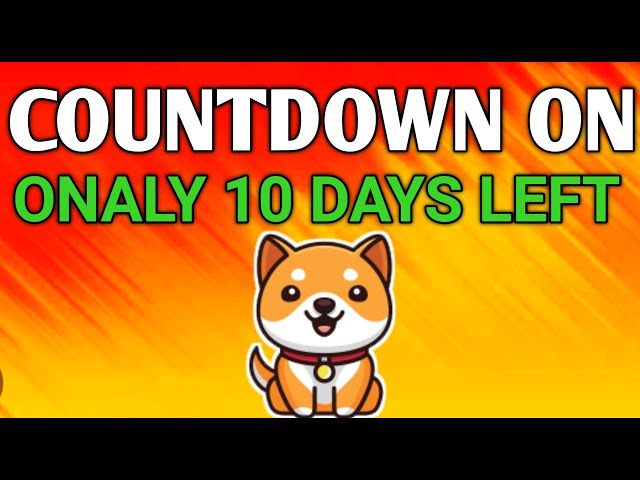 BABY DOGE COIN बड़ी खबर 🚨 BABY DOGECOIN NEWS TODAY 💰 BABY DOGECOIN PRICE PREDICTION 2025