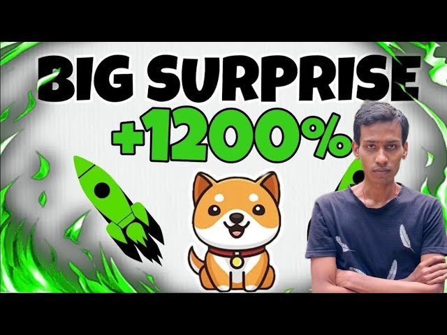 Baby-Dogecoin-Neuigkeiten heute | Brennen | BabyDoge Coin-Preispumpe 1200 % | Binance-Auflistung