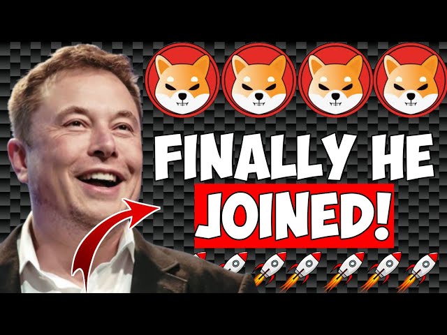 ELON A REJOINT LA SHIBARMÉE ! SHIBA INU PIÈCE SHIB À 1 $