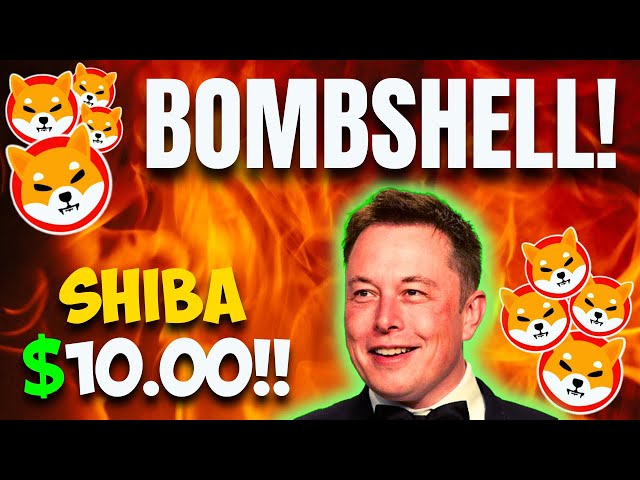 ELON MUSK ZERSTÖRT SHIBA INU! SHIBA INU TEAM JETZT WÜTEND – VORHERSAGE ZU SHIBA INU COIN NEWS