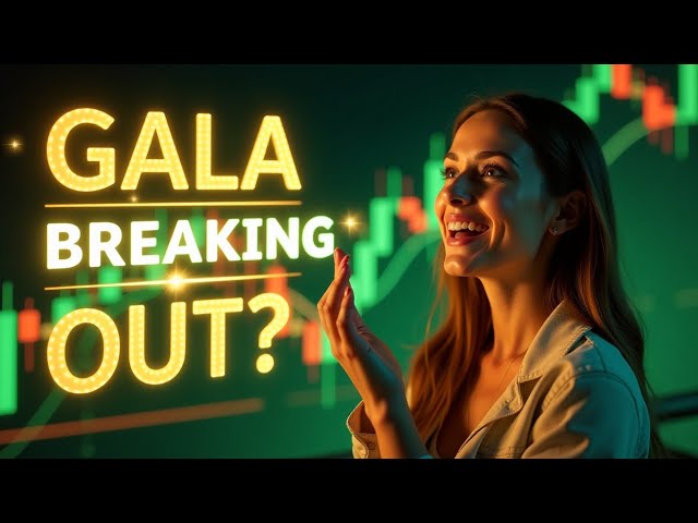 SIGNAL COMMERCIAL DE GALA 🚀🎯 | ANALYSE DES PIÈCES DE GALA | PRÉDICTION DU PRIX GALA