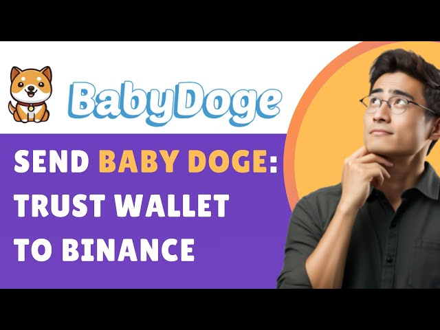 BABY DOGE COIN VON TRUST WALLET AN BINANCE 2025 SENDEN (ANLEITUNG)