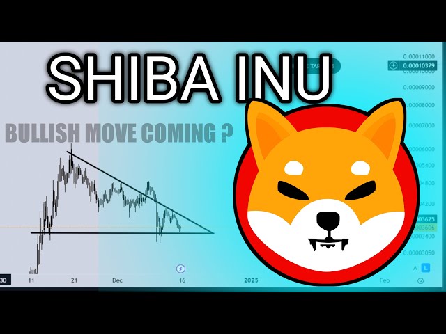 Shiba Inu (SHIB) Coin Price PREDICTION & Technical Analysis 10Jan | Shib Latest News | Shiba Inu