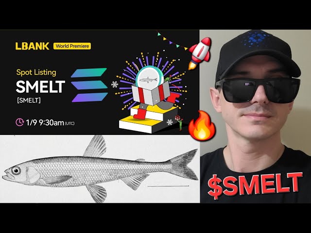 $SMELT - 제련 토큰 암호화폐 SOLANA LBANK ELON MUSK GAVIN NEWSOM MEMECOIN RAYDIUM SOL 구매 방법