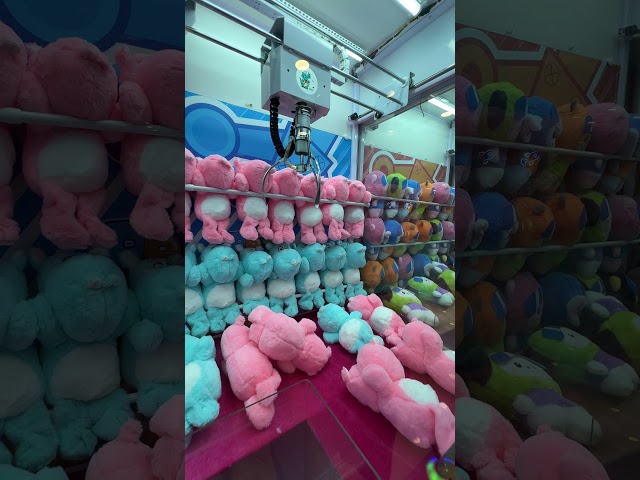 🕹️ Toms World Claw Machine 🎁 Token Will We Win Big? 🤔Fun & Excitement Stuff Toy Arcade Play Game