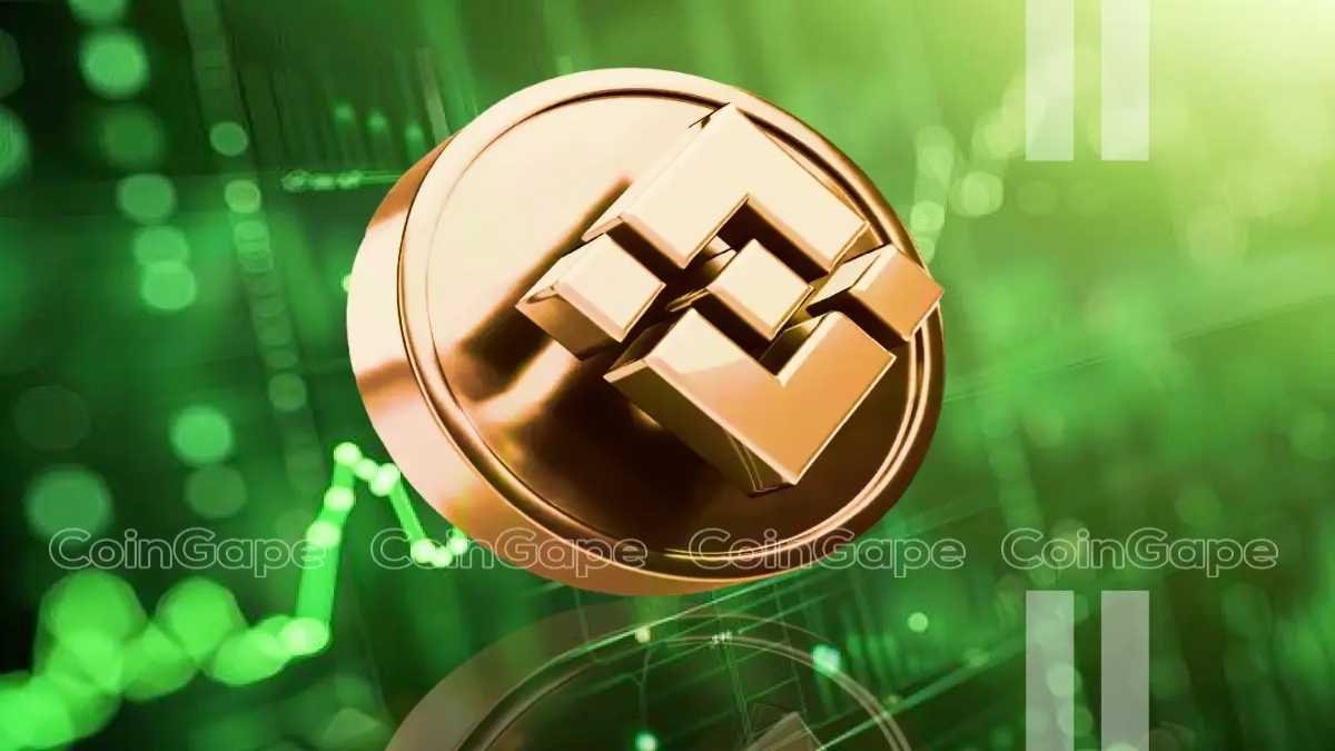 Binance Coin (BNB) apparaît comme une alternative solide au Bitcoin et à l'Ethereum