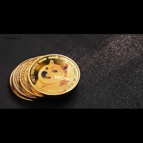 Dogecoin (DOGE) May Be on the Brink of a Recovery, Targeting $1 in 2025