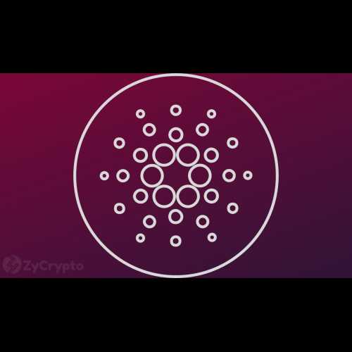 기관 투자자들은 2024년에 뛰어난 성과를 거둔 후 Cardano(ADA)의 가치를 확인합니다.