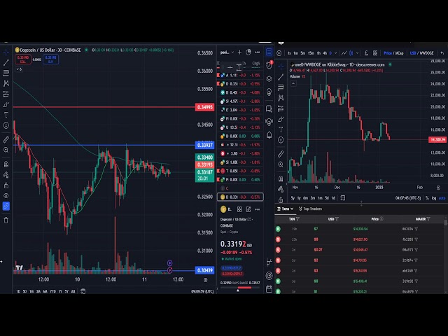 oneDoge 토큰으로 구동되는 AI Algo 패턴을 갖춘 24/7 Doge 차트