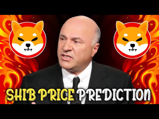 Kevin O'Leary Revealed: How SHIBA INU COIN Will Replace Bitcoin! SHIB PRICE Will Skyrocket Soon!