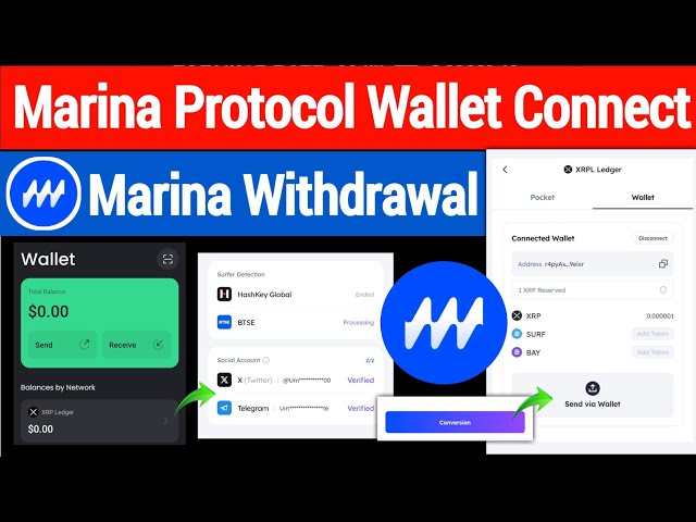 Marina プロトコルのウォレット接続プロセス |マリーナの退会プロセス |マリーナ 1 XRP トークンの出金