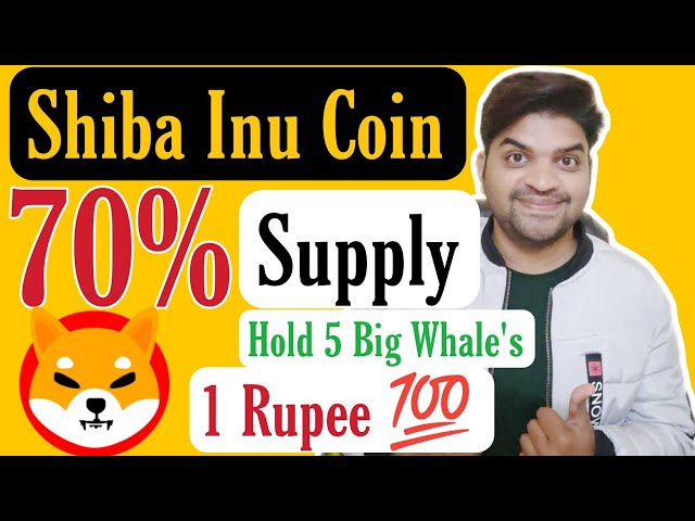 Shiba Inu Coin 70 % Angebot hält 5 große Wale | Shiba Inu-Münze