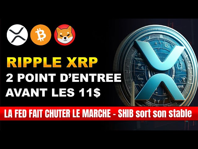 🚨 今週末XRP $2.05?!柴犬、トークントリートの発売