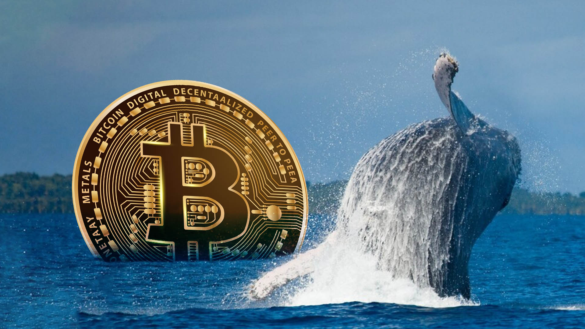 Prévision du prix du Bitcoin (BTC) : les baleines vendant du BTC au milieu de la phase de consolidation suscitent des inquiétudes quant à une prévision baissière