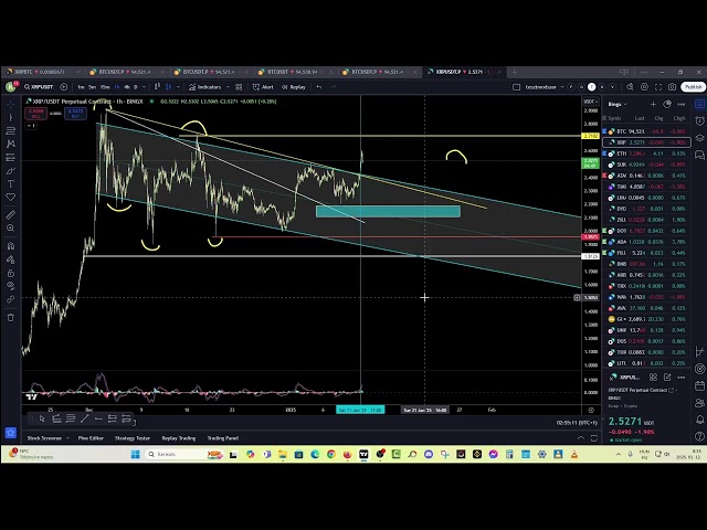 硬幣檢視器週日 250112，Discord 免費嗎？ XRP、BTC 還有一些股票......