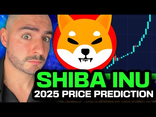 SHIBA INU BREAKING NEWS! (Take Profit Strategy For SHIB) SHIB Price Prediction 2025