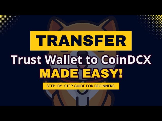 MIS À JOUR! TRANSFÉREZ LE BABY DOGE COIN DU TRUST WALLET À COINDCX EN 2025 !