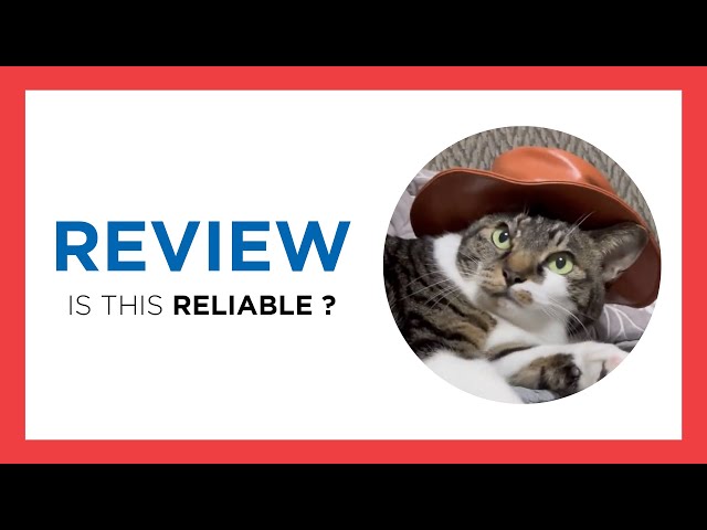 CAT WIF HAT TOKEN ($CWH) : FULL REVIEW (Token, Staking, News, Crypto, Price prediction)