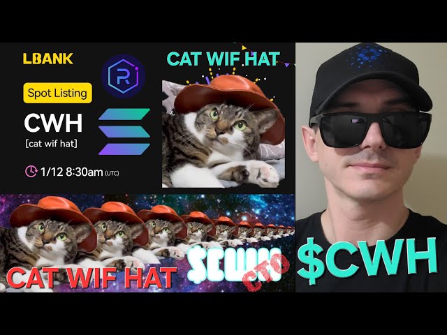 $CWH - CAT WIF HAT TOKEN CRYPTO COIN COMMENT ACHETER MEXC GLOBAL LBANK KCEX SOLANA CWH RAYDIUM MEMECOIN