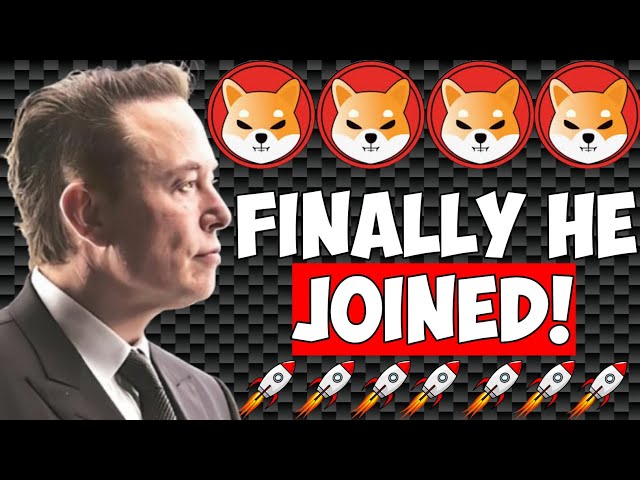 ELON MUSK HAS JOINED THE SHIBARMY! SHIBA INU COIN SHIB TO $2! - SHIBA INU COIN NEWS TODAY