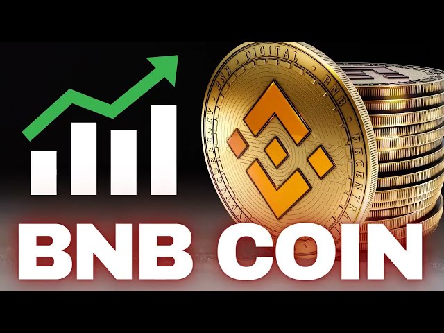 使用閃貸套利和更新智慧代碼的令人難以置信的 BNB 加密貨幣 |巨額利潤