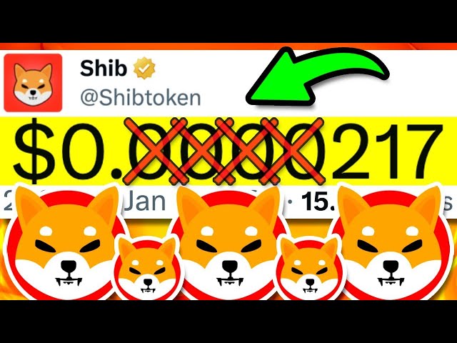 SHIBA INU : DES INSIDÉS FUITENT ACCIDENTELLEMENT LE PRIX DU SHIBA INU 2025 !! (MASSIF !) - NOUVELLES DES PIÈCES SHIBA INU AUJOURD'HUI