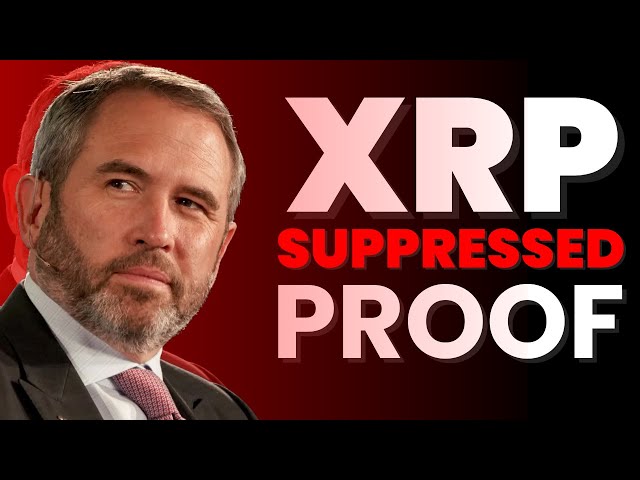 关于 Ripple 和 XRP 的*令人震惊的*事实👀