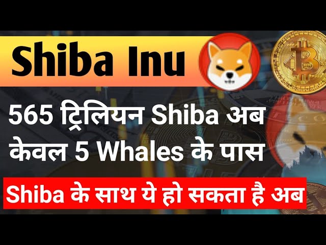 565 milliards de dollars. Shib n'a plus que 5 baleines. Nouvelles des pièces Shiba Inu aujourd'hui || Prévision de cours Shiba inu Coin