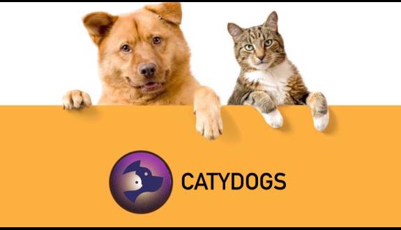 CatyDogs