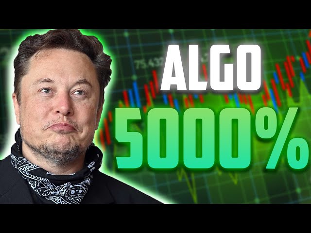 ALGO A 5000% PUMP IS HERE DON'T MISS IT OUT - ALGORAND PRICE PREDICTIONS & ANALYSES