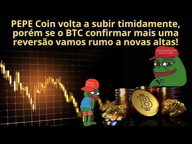 Pepe Coin #PEPE va-t-il encore augmenter très fortement avec la montée du BTC ou est-ce que tout cela n'est qu'un piège ?